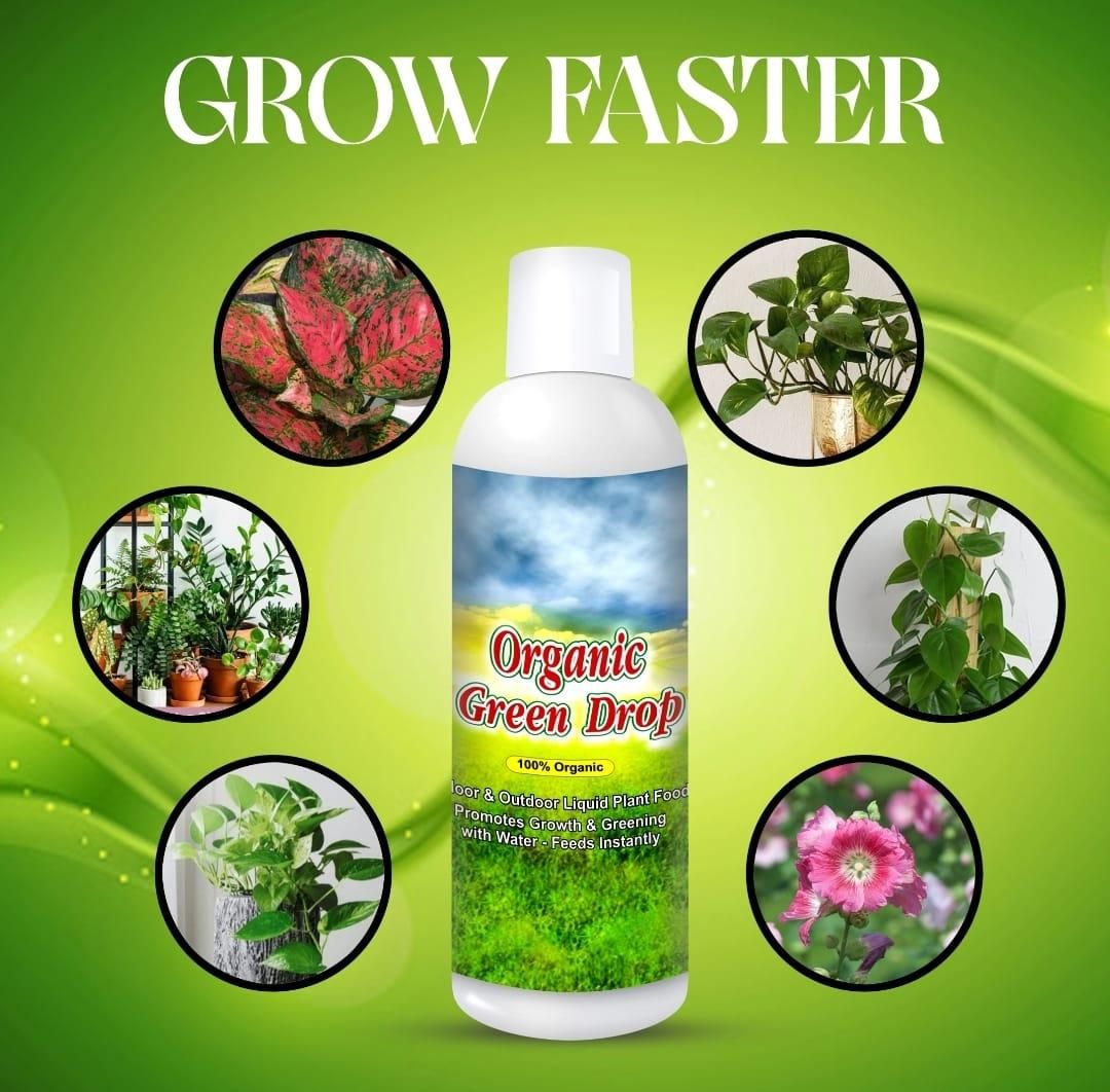 Organic GreenDrop Plant Food Liquid Fertilizer For Plant Growth & Greening Pack of 1