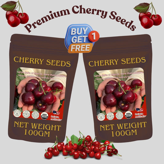Top Grade & Productive – Chilean Cherry Seeds Direct from Origin 100 grams Organic Pot mix Free
